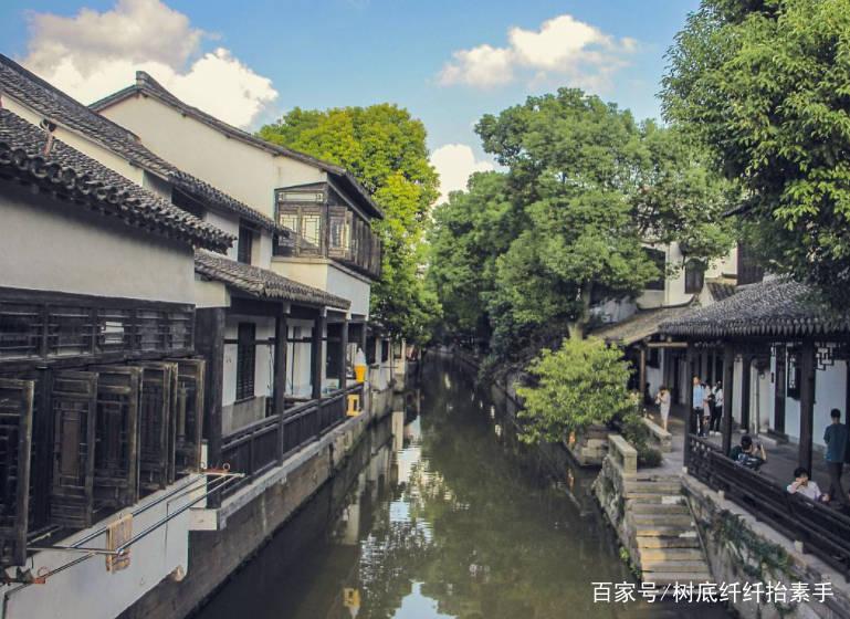 植物大战僵尸7